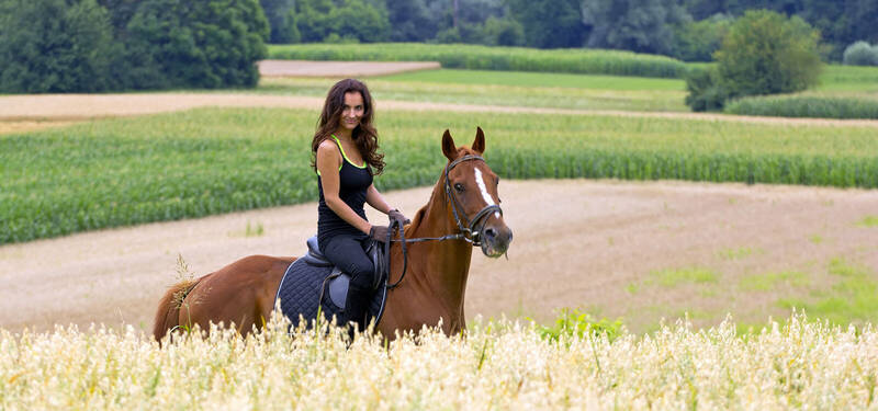 Header Reiten