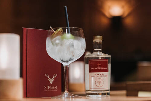 Gin Tonic Bar   Hotel Drei Quellen Therme