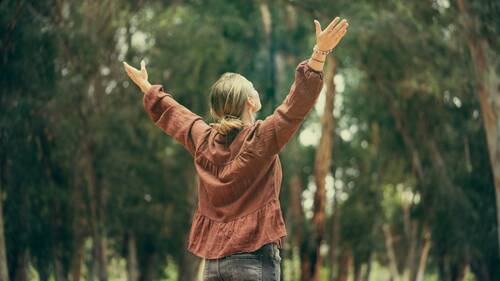 AdobeStock 943074235